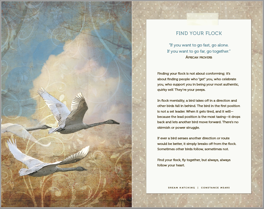 FindYourFlock-spread