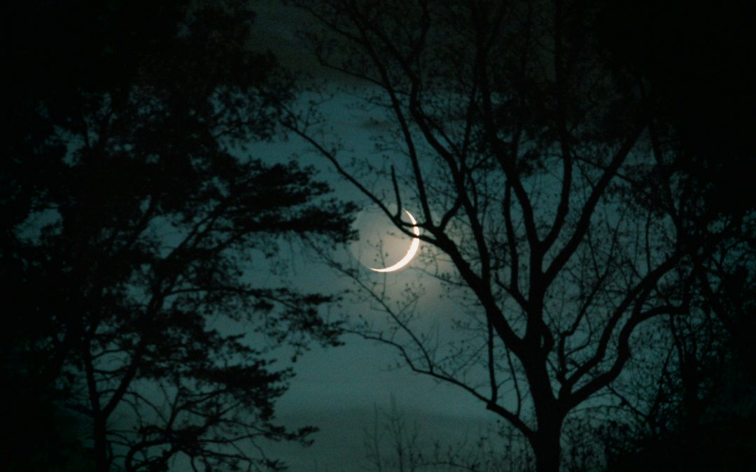Stretch marks on the full moon