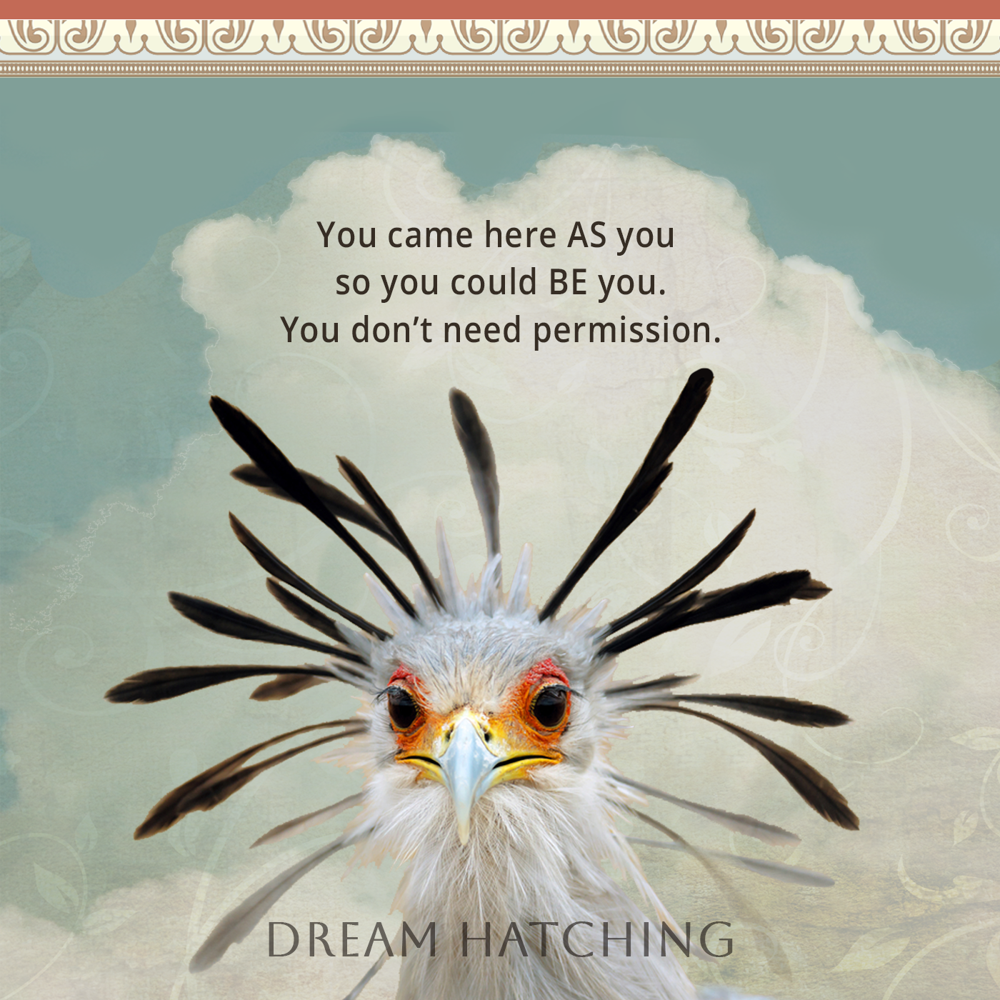 DH_2025-No permission