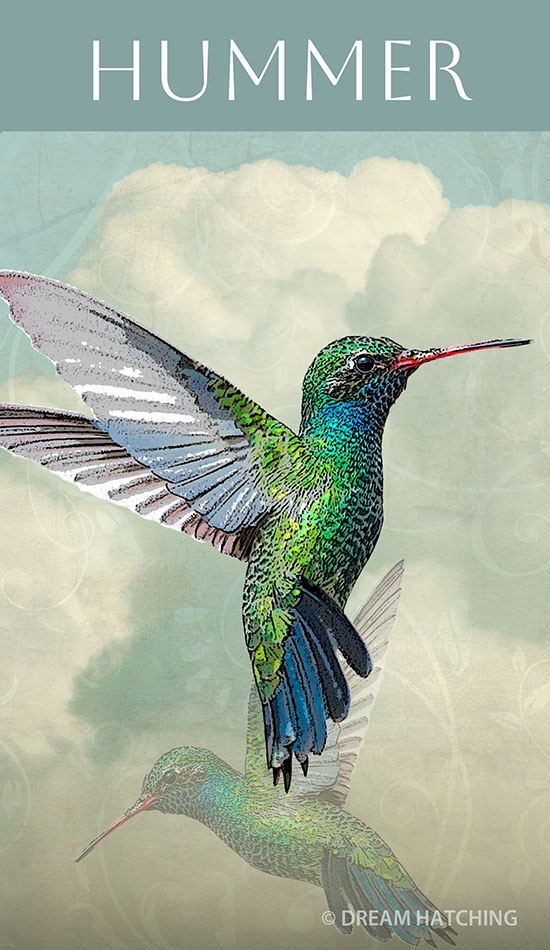 _DH-Cards-HUMMINGBIRD-2-5.5x9.5-2025-web
