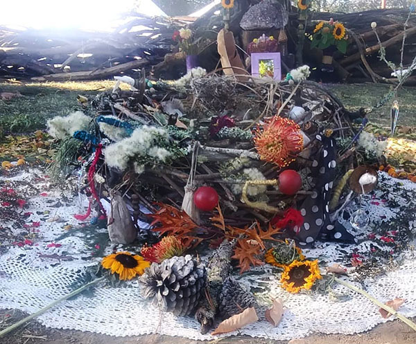 Nest-Bioneers-IMG_2807